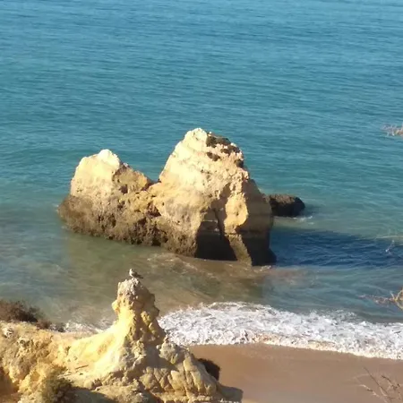 Albur Village B - Dandelion *