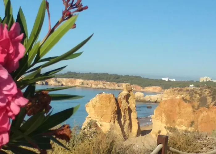 아파트 Albur Village B - Dandelion