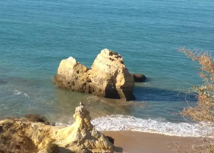 Albur Village B - Dandelion *