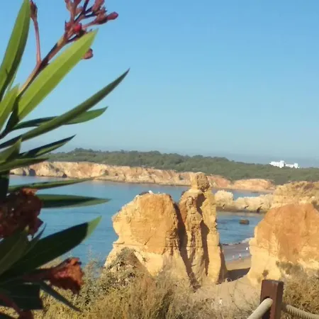Apartamento Albur Village B - Dandelion